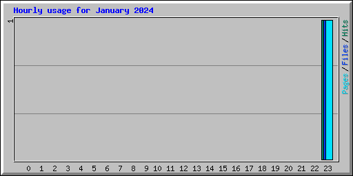 Hourly usage for January 2024