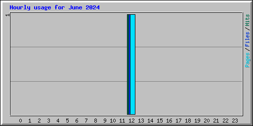 Hourly usage for June 2024