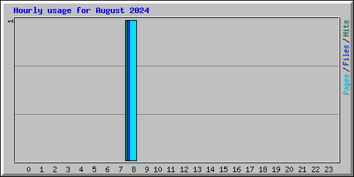 Hourly usage for August 2024