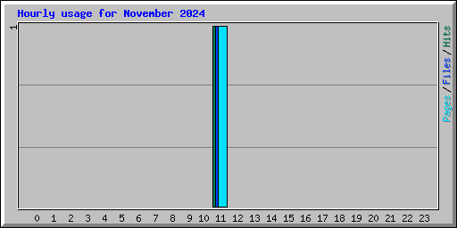 Hourly usage for November 2024