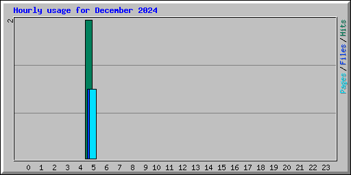 Hourly usage for December 2024