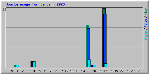 Hourly usage for January 2025